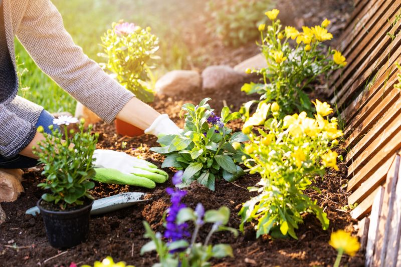 Flower Bed Planting