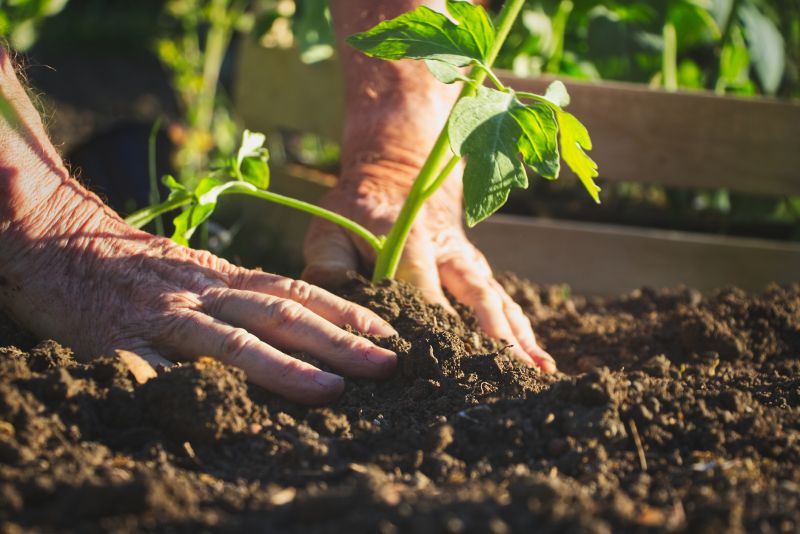 Healthy Soil Preparation