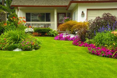 Flower Bed Design and Installation