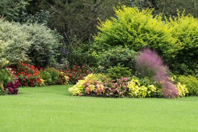 Flowerbed Planting Service