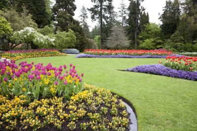 Residential and Commercial Flower Bed Planting