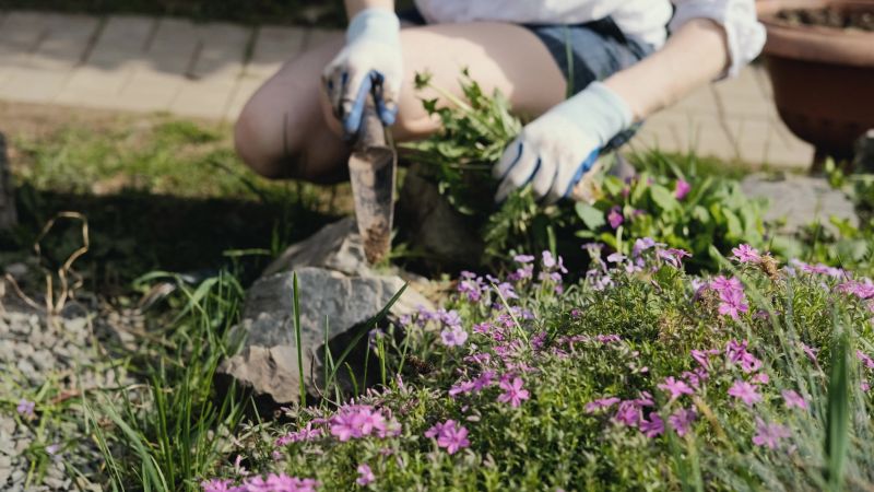 Local Flower Bed Planting pros at work